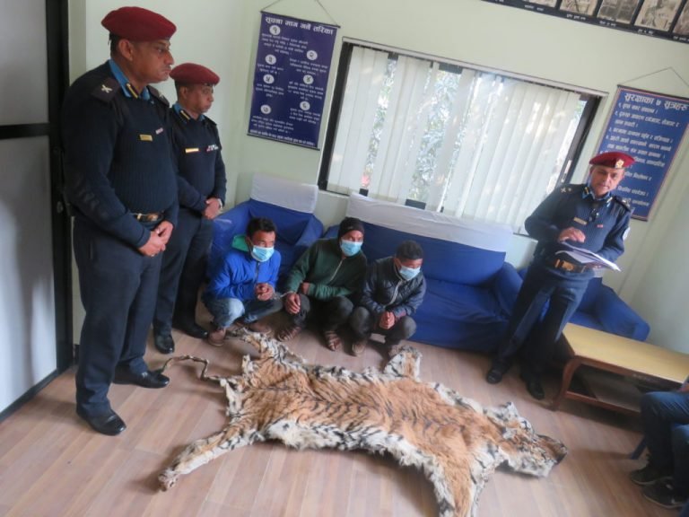 पाटेबाघको छाला सहित मकवानपुरबाट ४ जना पक्राउ