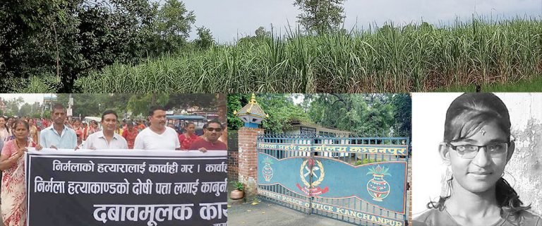 निर्मला पन्तको ‘भेजाइनल स्वाब’ सिन्कोमा बेरिएको कपासबाट सङ्कलन गरिएको थियो