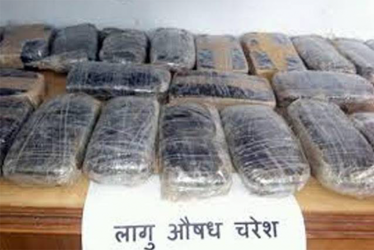 त्रिभुवन विमानस्थलबाट ठूलो परिमाणमा चरेस बरामद
