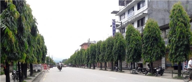 हेटौंडाको मुख्य सडक १६–१६ मिटर फराकिलो बनाइने
