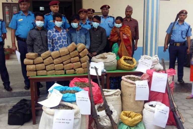 भरुवा बन्दुक र गाँजासहित  पाँचजना पक्राउ