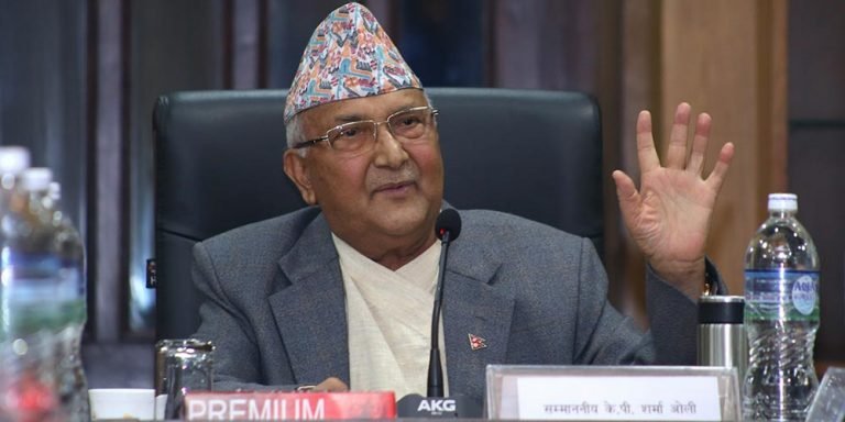 प्रधानमन्त्री भन्छन्ः निजी विद्यालयमा लगानी गर्नुहोस्