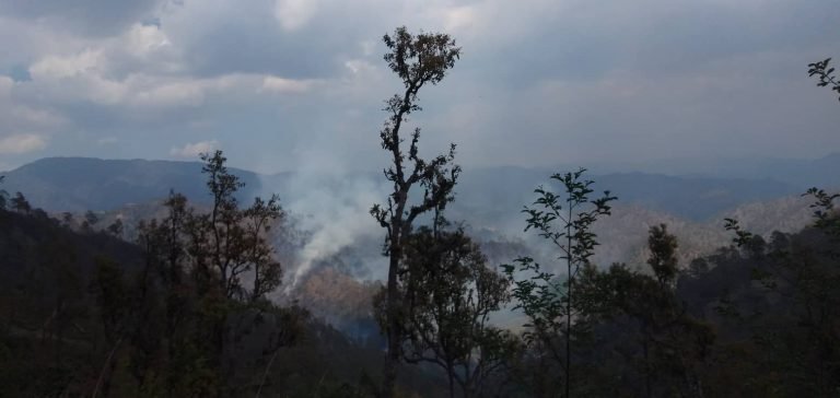 आगलागी हुँदा डोटीमा ७ सय ४४ हेक्टर वन नष्ट