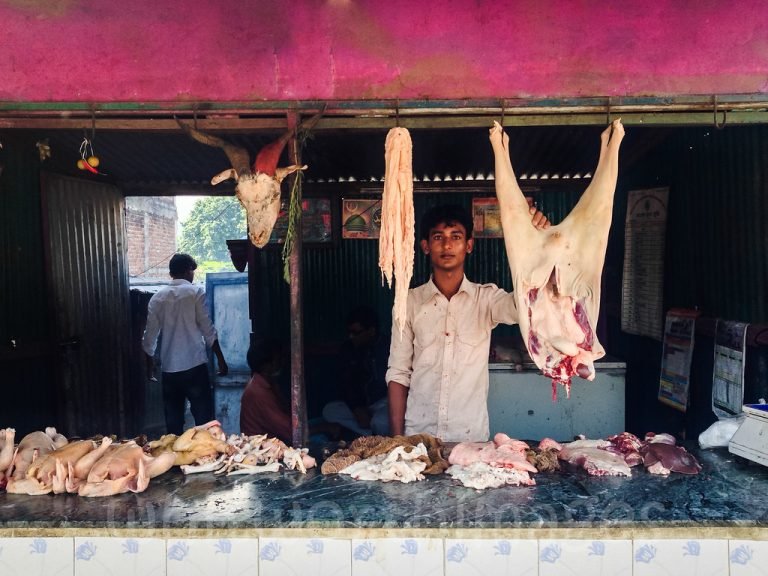 गोखामा पशुपन्छी पाल्न कडा प्रतिबन्ध, मासु खाए ५० हजार जरिवाना