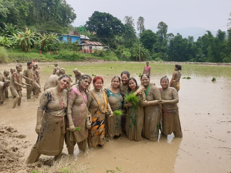 हेटौंडाको धान दिवसमा प्रदेश सांसद देखि स्थानीय सम्म