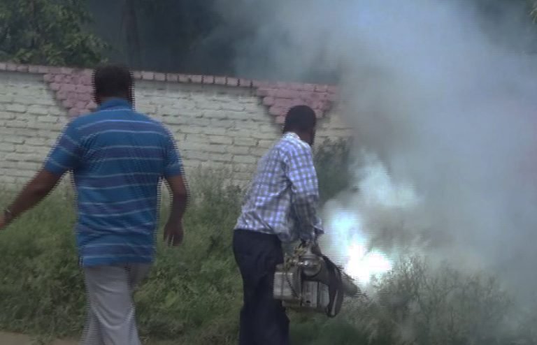 एक नम्बर प्रदेश सरकारद्वारा डेंगु संक्रमण नियन्त्रणको प्रयास सुरु