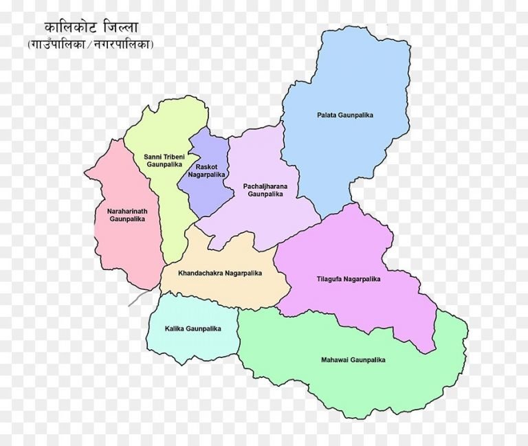 वडाध्यक्षले शिक्षक बनाइदिने भन्दै खसी घूस लिए