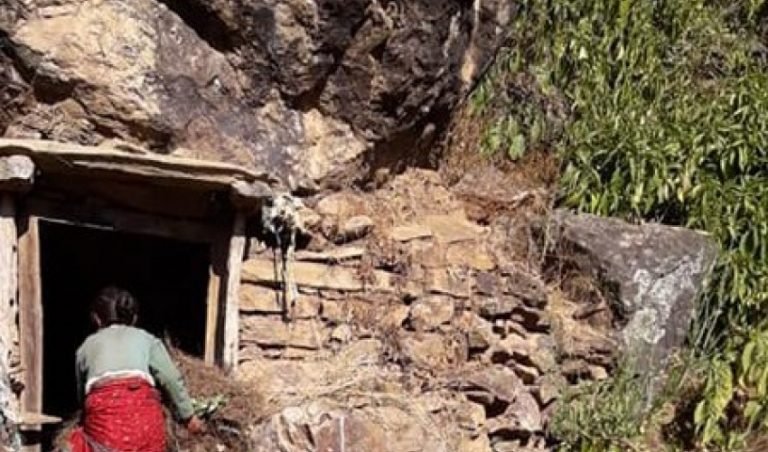 ओढारमा भैंसी पालेर छोरालाई  डिग्री पढाउने आमाको कथा