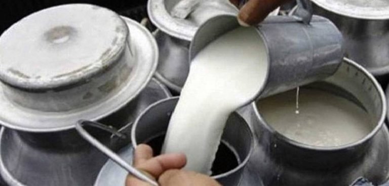 लकडाउनको प्रभावमा दूध किसान