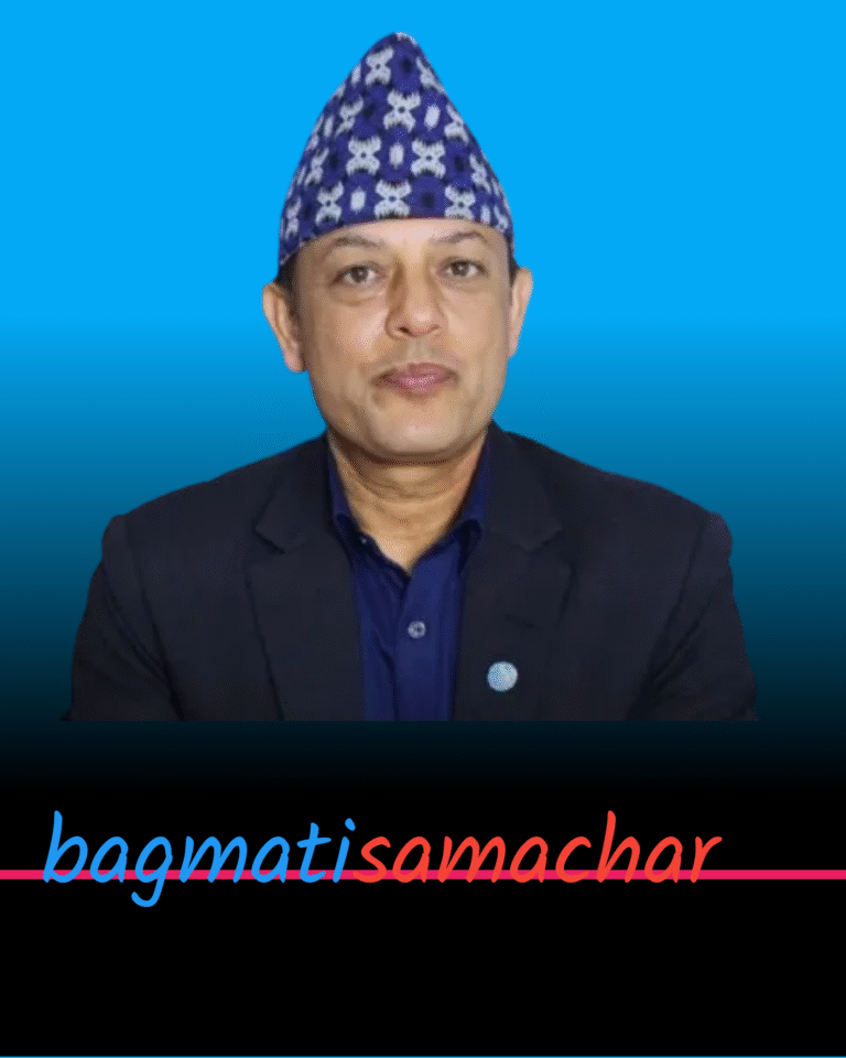 डीपी अर्याल सभामुखमा निर्विरोध निर्वाचित भएको घोषणा