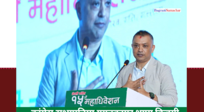 कांग्रेस सभापतिमा गगनकुमार थापा विजयी