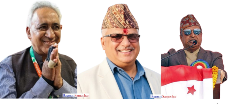 उपसभापतिमा डा.भण्डारी,आचार्य र चौधरी विजयी
